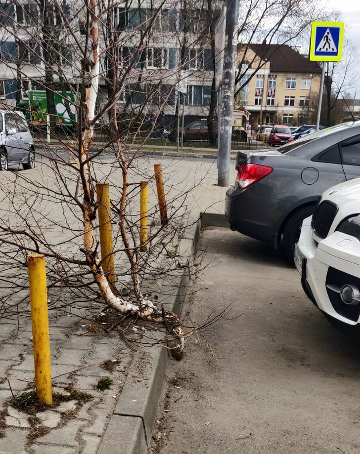 10+ гениев парковки