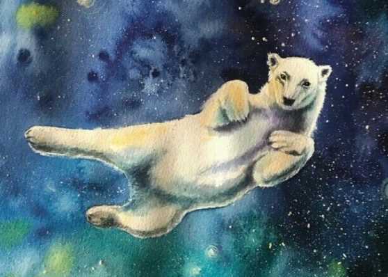 Тест из школьной программы:Сколько звезд в созвездии "Большая медведица"?