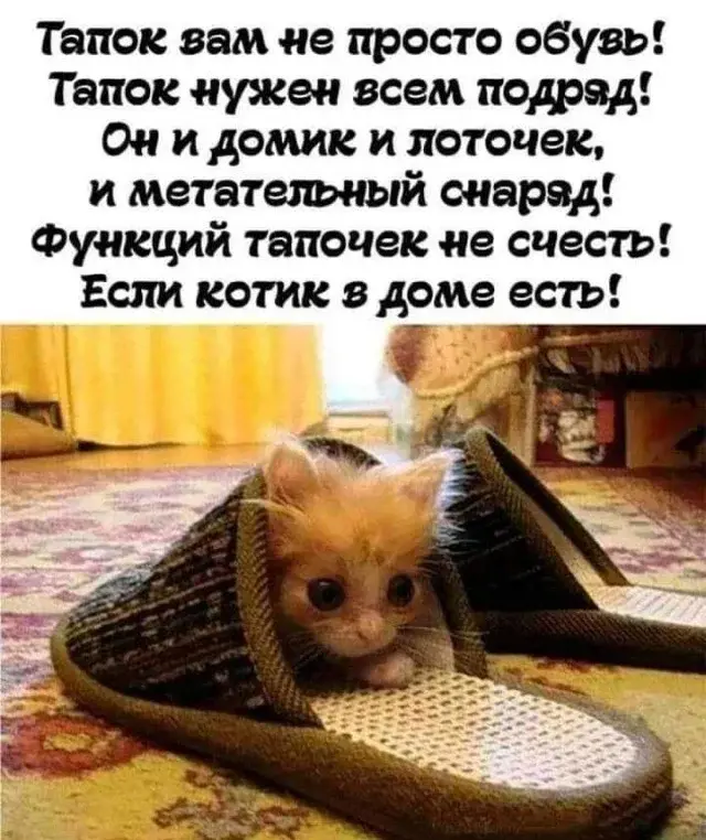 Сборная солянка из соцсетей