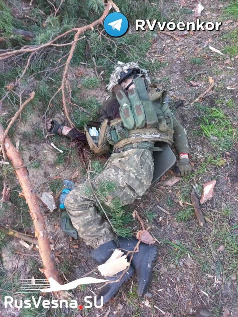 В Лиманском районе, ДНР и российские войска республики берут один опорный пункт ВСУ за другим