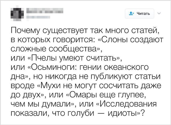 10+ хлёстких твитов от людей, которые за словом в карман не полезут