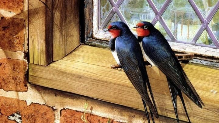 Задача из школьной программы 4 класса №2