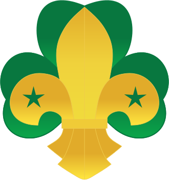 Отличия скаутов от пионеров.