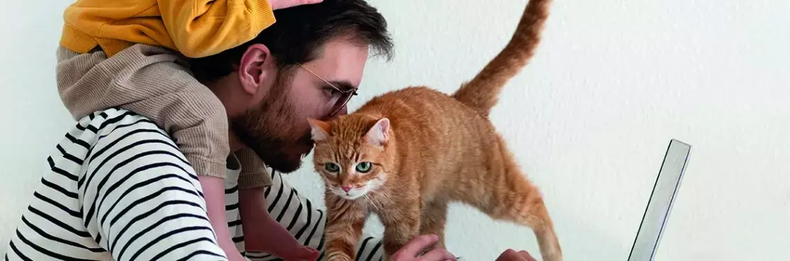 Эмоциональное истощение, связанное с работой в домашнем офисе