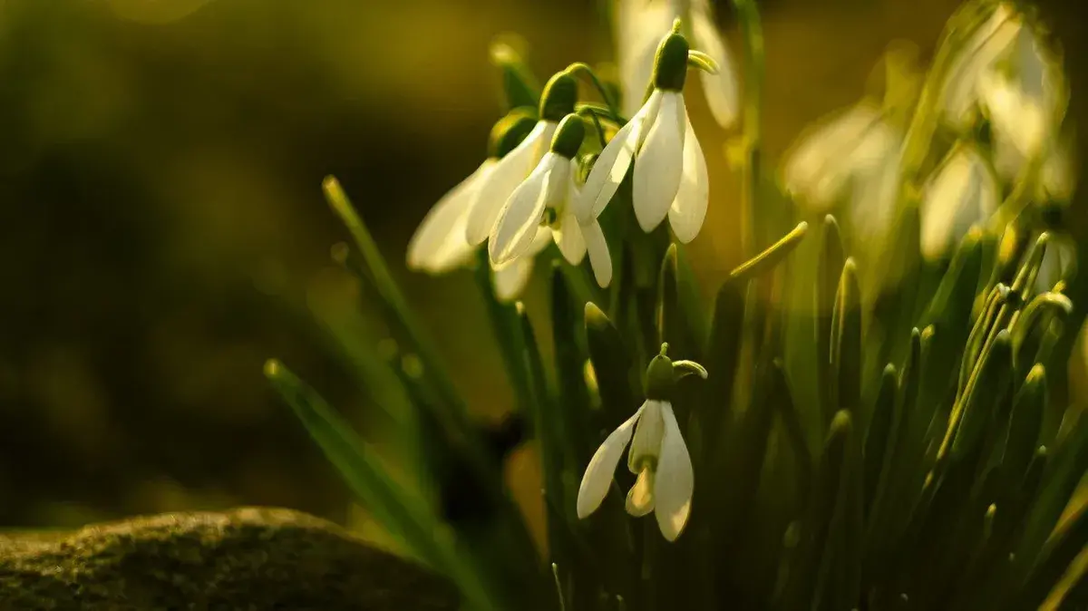 Чтобы не совершить грех и прогневить Бога: какие запреты и обязательные дела есть на 3 мая – можно ли на Радоницу-2022 работать в огороде