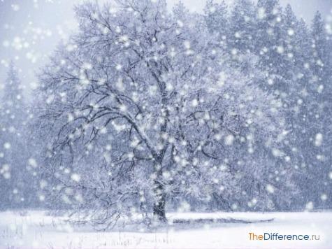 Сибирские новости: ⚠️ШТОРМОВОЕ ПРЕДУПРЕЖДЕНИЕ ⚠️ 3 мая местами по области ожидаются порывы западного, северо-западного ветра до 17-22 м/с, умеренные 