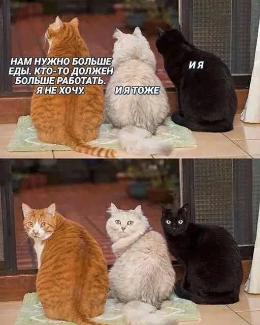 Сборная солянка из соцсетей