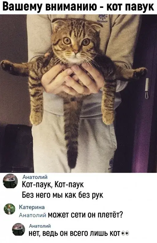 Сборная солянка из соцсетей