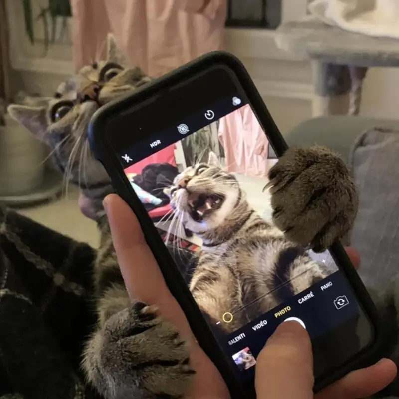 10+ твитов от людей, у которых всё в порядке с воображением