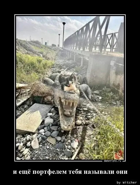 Подборка картинок