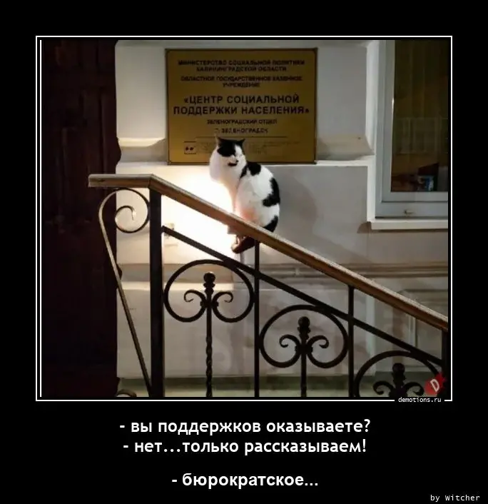 Подборка картинок