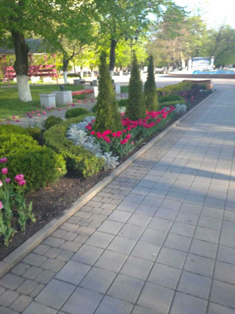 Армавирский парк. Красота!❤️❤️❤️