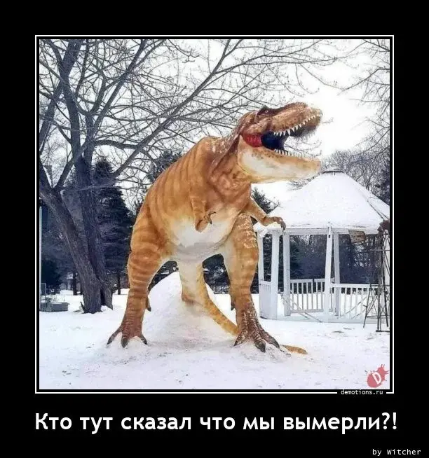 Подборка картинок