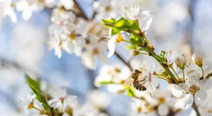 День Николая Чудотворца – 2022. История, традиции праздника, что нужно сделать, а что запрещено – о чем просить, какого числа