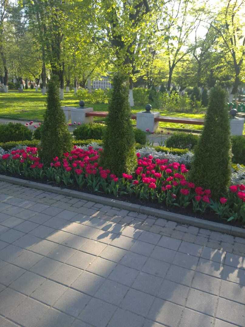 Армавирский парк. Красота!❤️❤️❤️