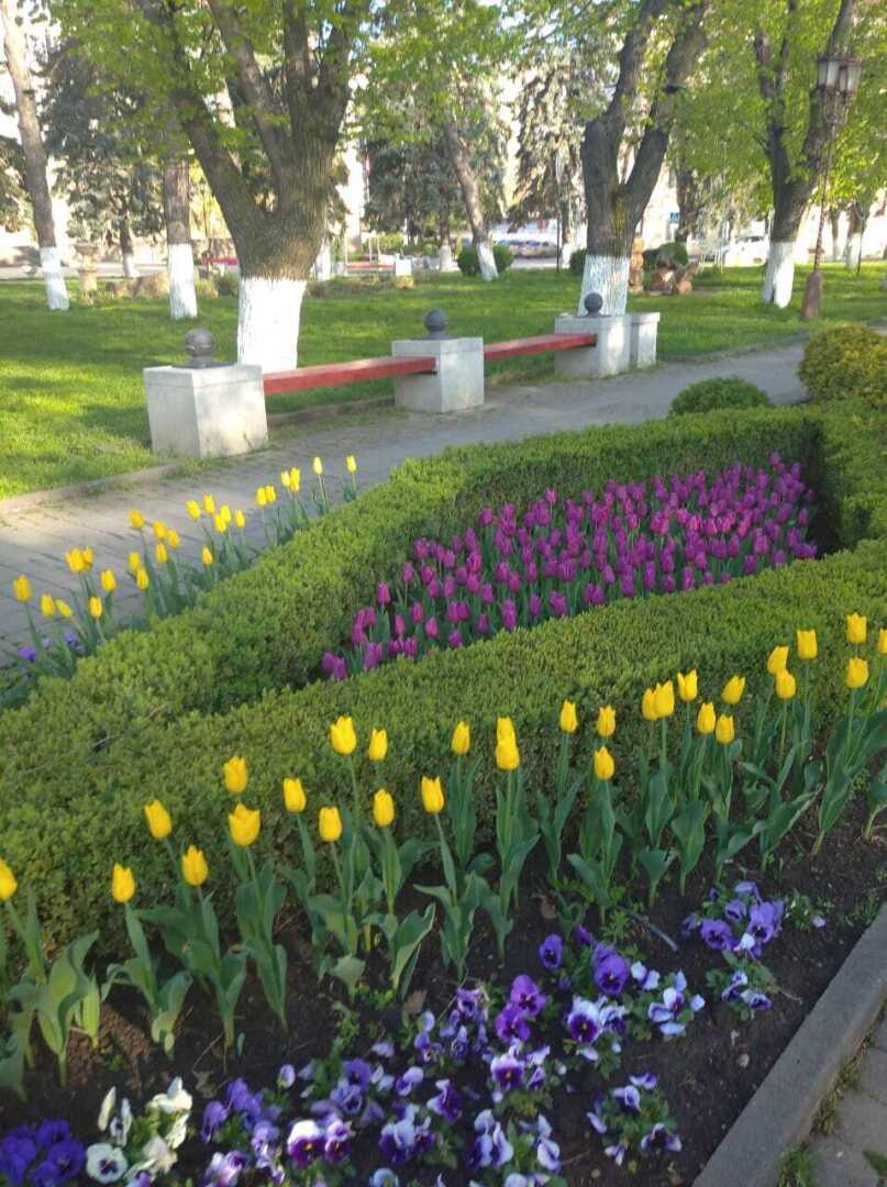 Армавирский парк. Красота!❤️❤️❤️