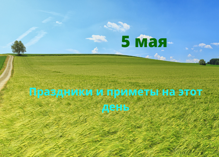 День в календаре. 5 мая день Луки.