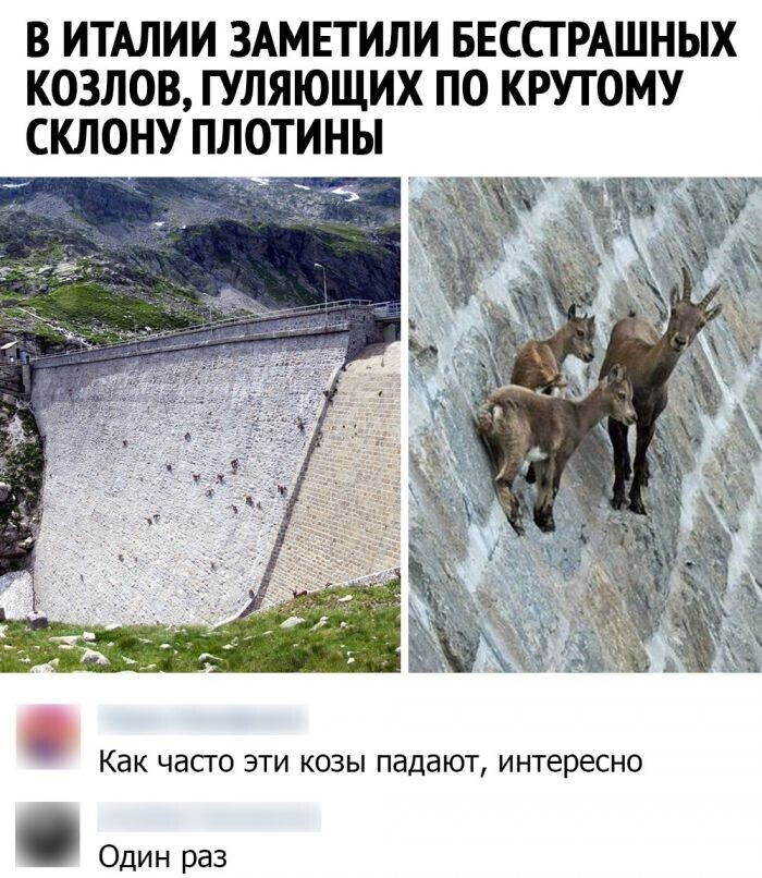 Сборная солянка из соцсетей