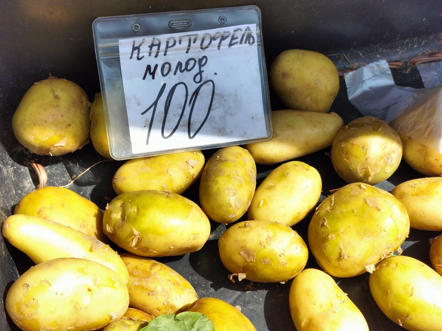 Цены начали снижаться? Сколько сейчас стоят местные овощи в Крыму? Фото с рынка