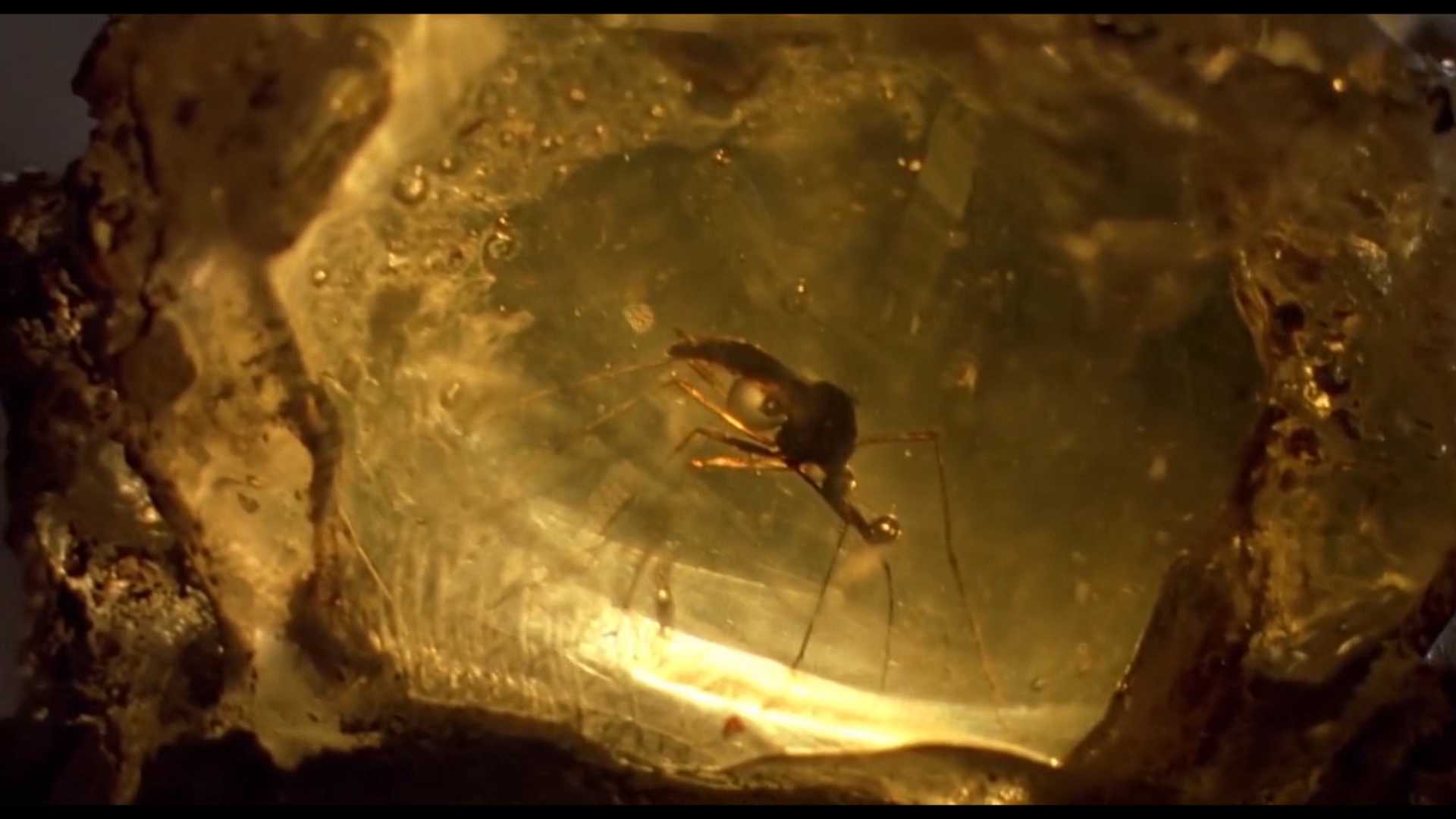 «Парк юрского периода» (отзыв на фильм)