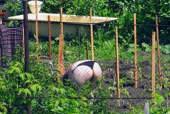 А вы едете на дачу?