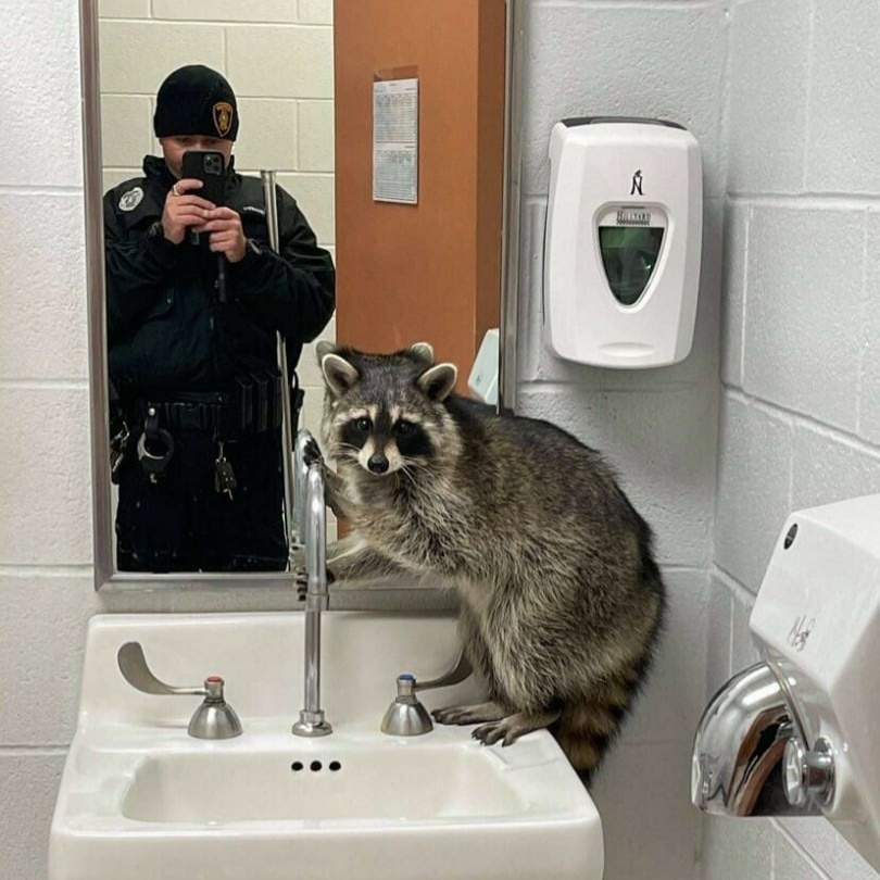 Новая серия изображений, которые заставят тебя сделать: "Хмммм" 🤔