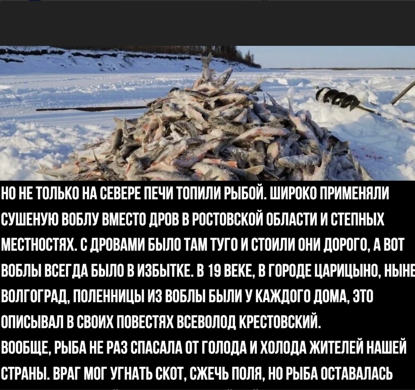 Раньше печь топили рыбой. Правда или миф