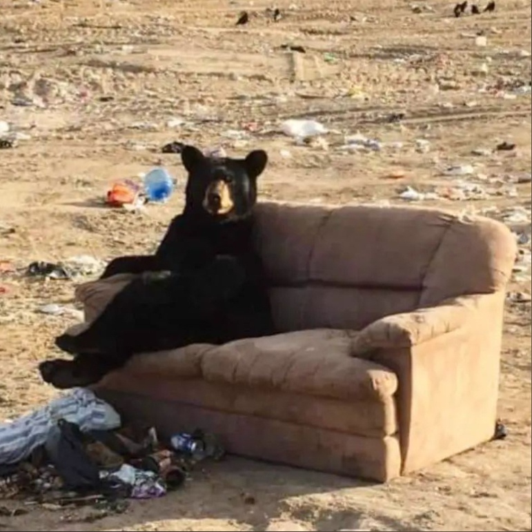 Новая серия изображений, которые заставят тебя сделать: "Хмммм" 🤔