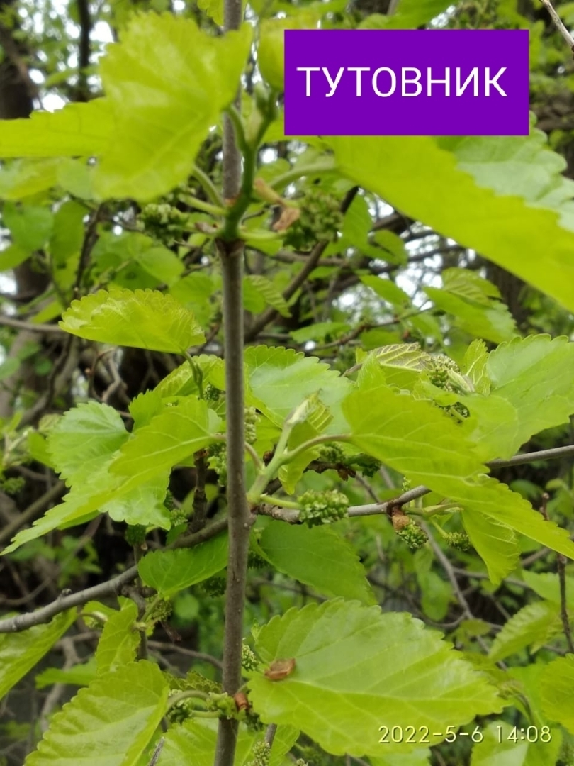 Ну вот, скоро на Кубани всё поспеет.🤗