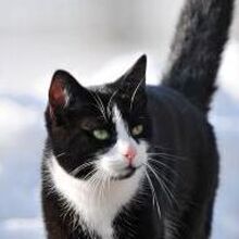 Екатерина, г. Екатеринбург