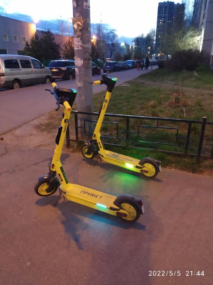 Раздражают ли вас самокатчики?