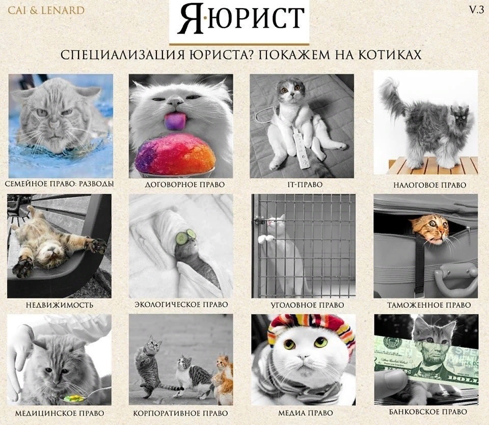 Юристы и коты
