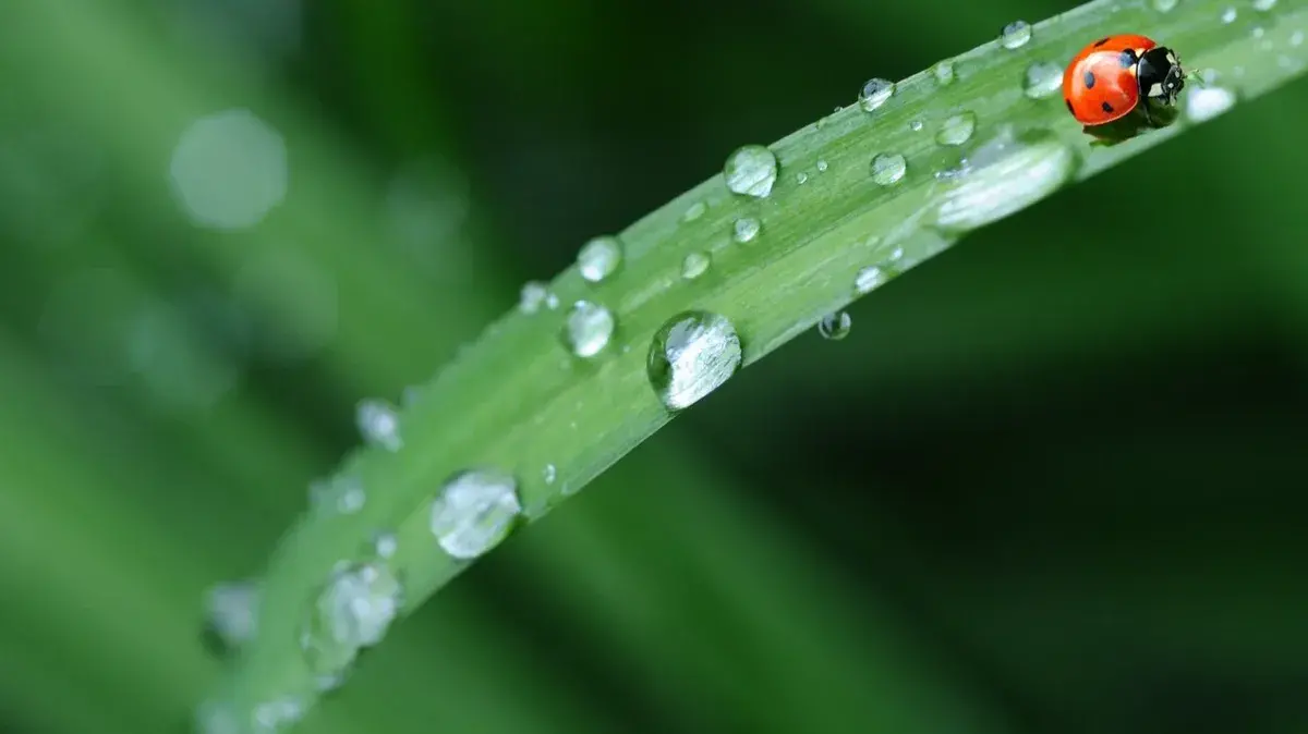 Чтобы не согрешить, что можно и что нельзя делать россиянам в Родительский день-2022: Семь категорических запретов и пять очень важных дел на 9 мая