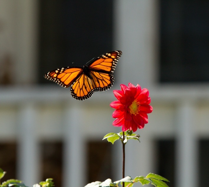 Вера в Христа спасет человечество от гибели?