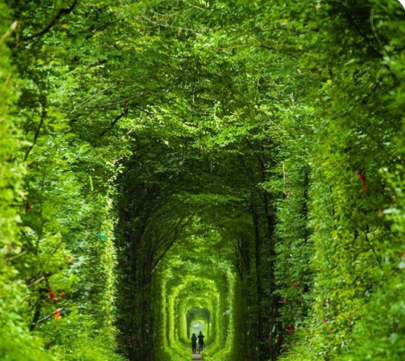 Вы слышали о ТОННЕЛЕ ЛЮБВИ? Это волшебное место обожают влюбленные пары, и оно НАХОДИТСЯ БЛИЗКО К НАШЕЙ СТРАНЕ! 