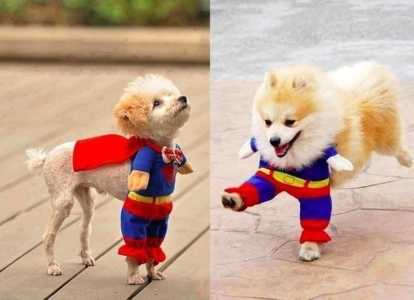 Хотя эти фото ужасно изумляют. Не так ли?