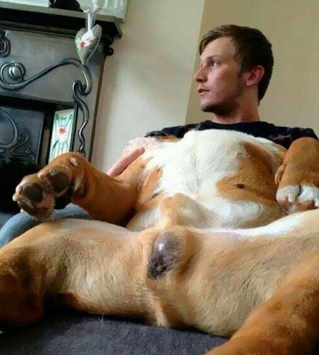 Хотя придется пересмотреть не один раз, прежде чем станет понятно, в чем соль.