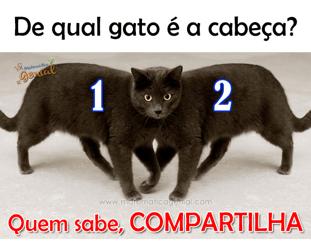 Кому принадлежит голова?