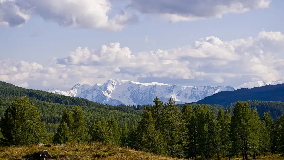 Полный прогноз погоды на лето 2022 года для Сибири и Дальнего Востока – все аномалии на июнь, июль и август