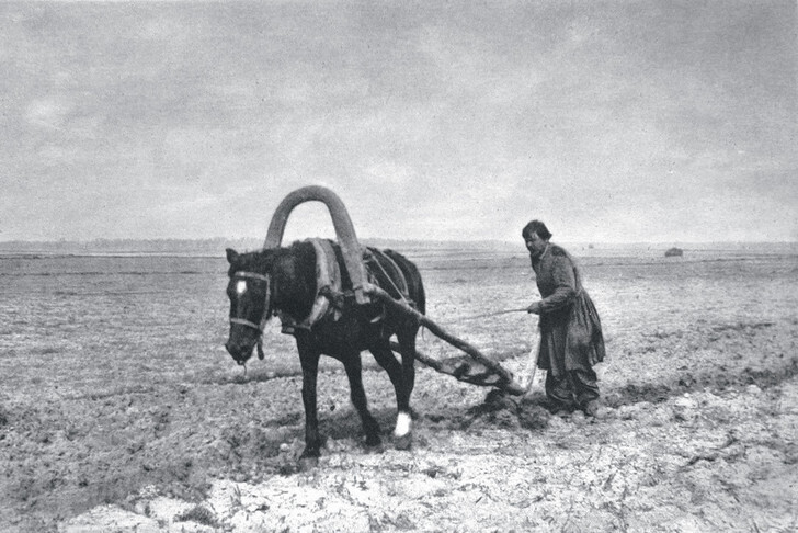 9 заблуждений и фактов о крепостном праве