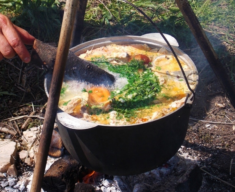 Какой выходной на природе Вы выбираете?