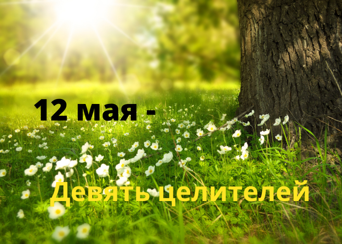 День в календаре. 12 мая - Девять целителей. Международный день медицинских сестёр.