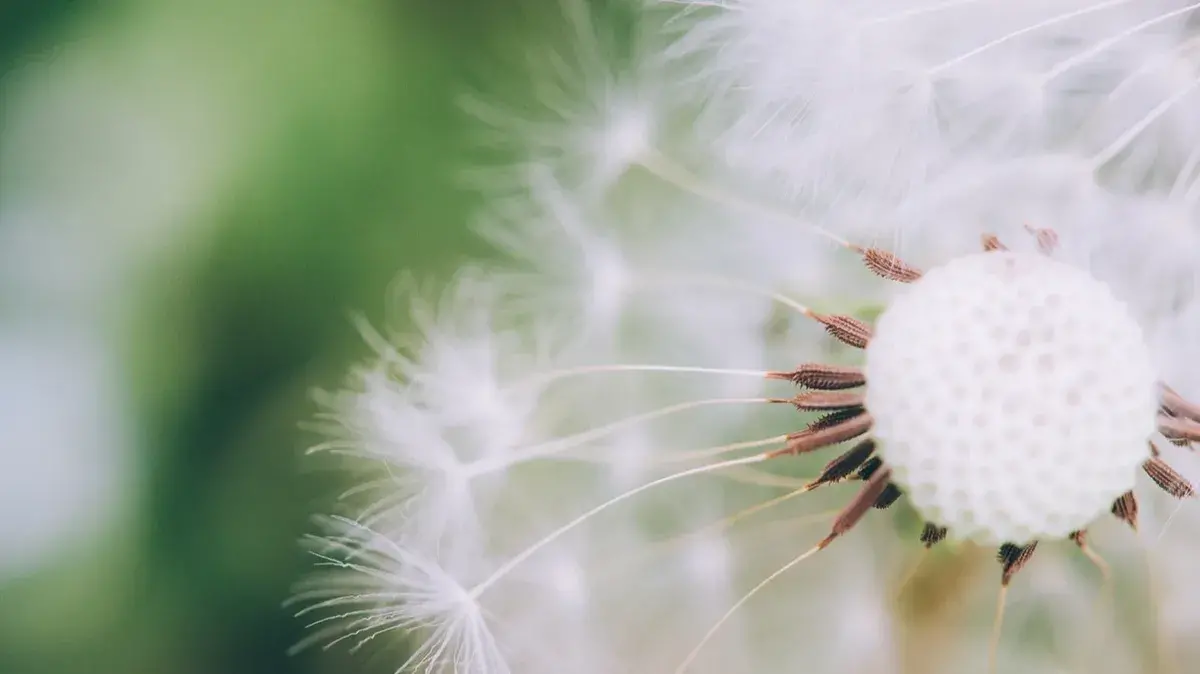 Длинные выходные в июне с сохранением зарплаты 2022: информация о каждом рабочем дне, праздниках, выходных – как отдыхаем на День России 12 июня