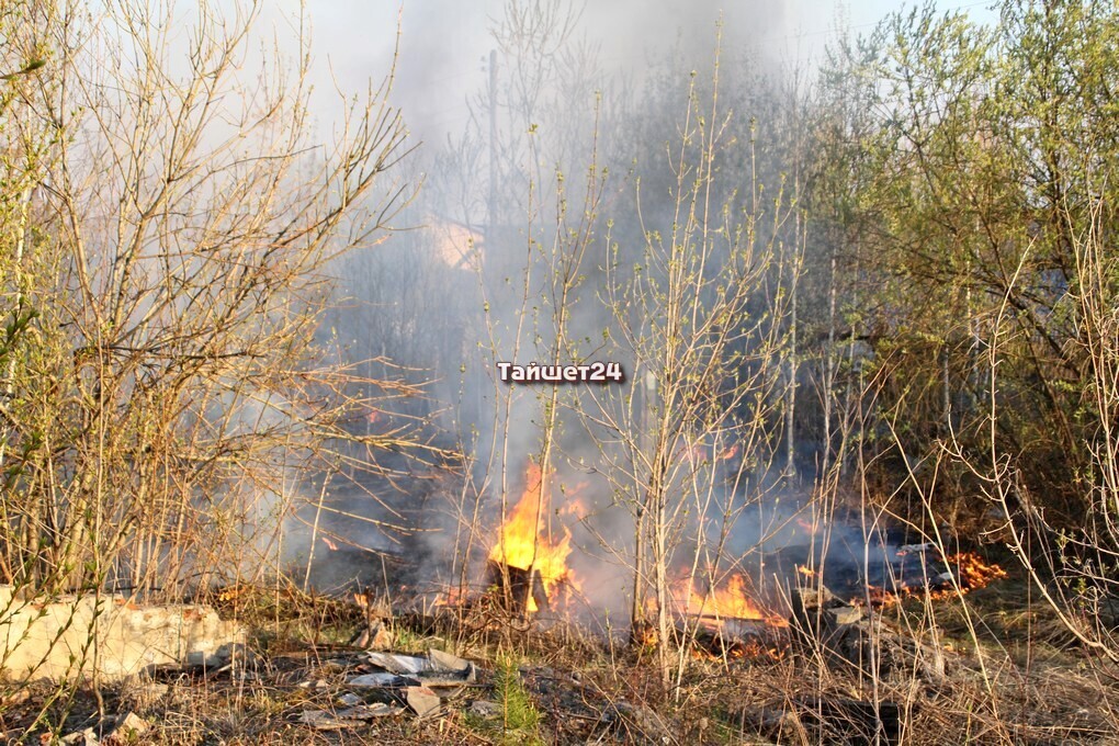 Тайшет снова в огне: подожгли траву возле шпалопропиточного завода.