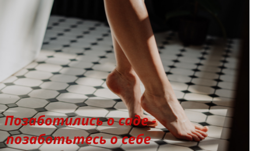 Сода для огорода и другие её полезности. Как использовать пищевую соду на даче. Можно ли использовать соду в саду и огороде.