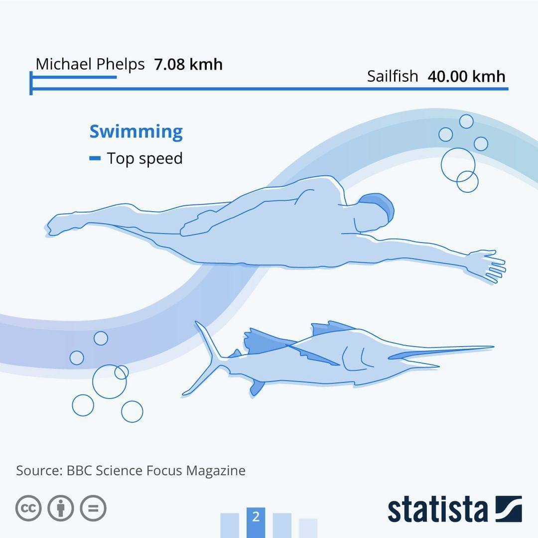 Мировая статистика.