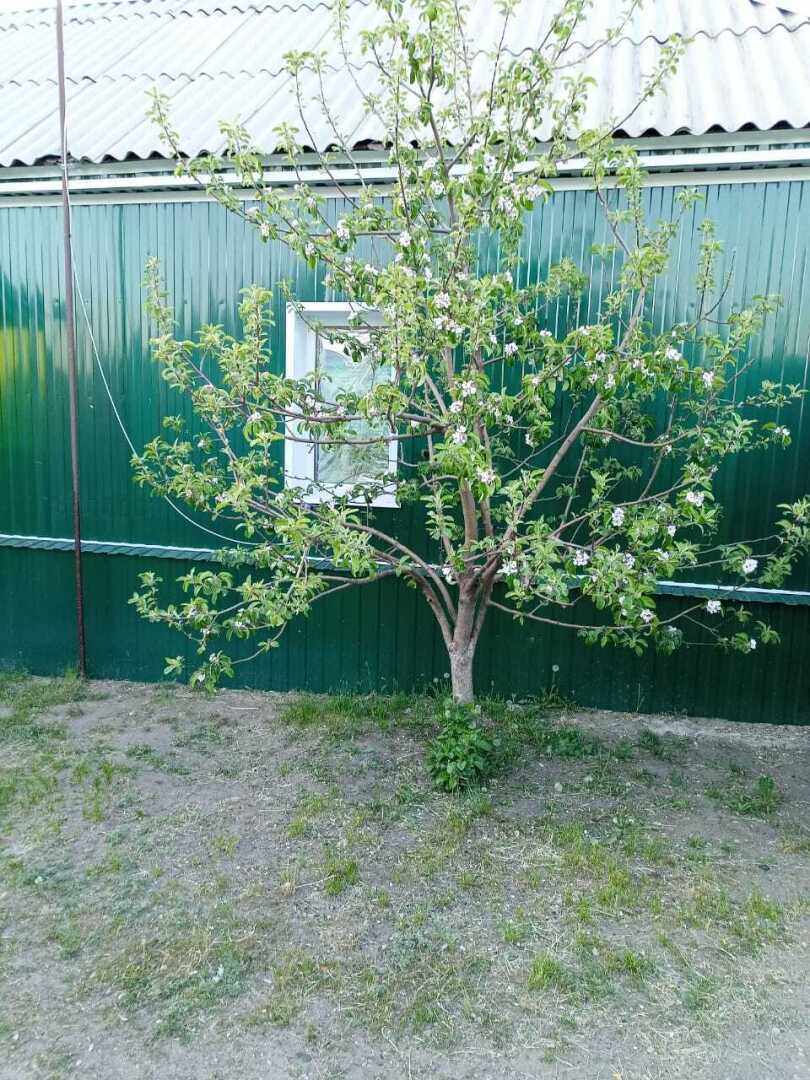 Заработанные за 2 года на сайте 9111 деньги я потратил на ремонт своего дома