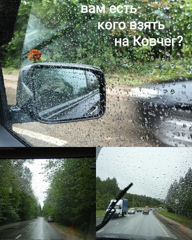 Кого возьмете на Ковчег?