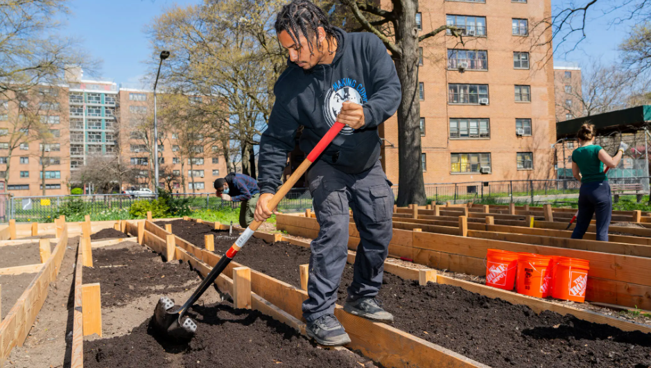 Невероятное восхождение нью-йоркского чемпиона по компосту