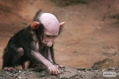 Вы согласны?